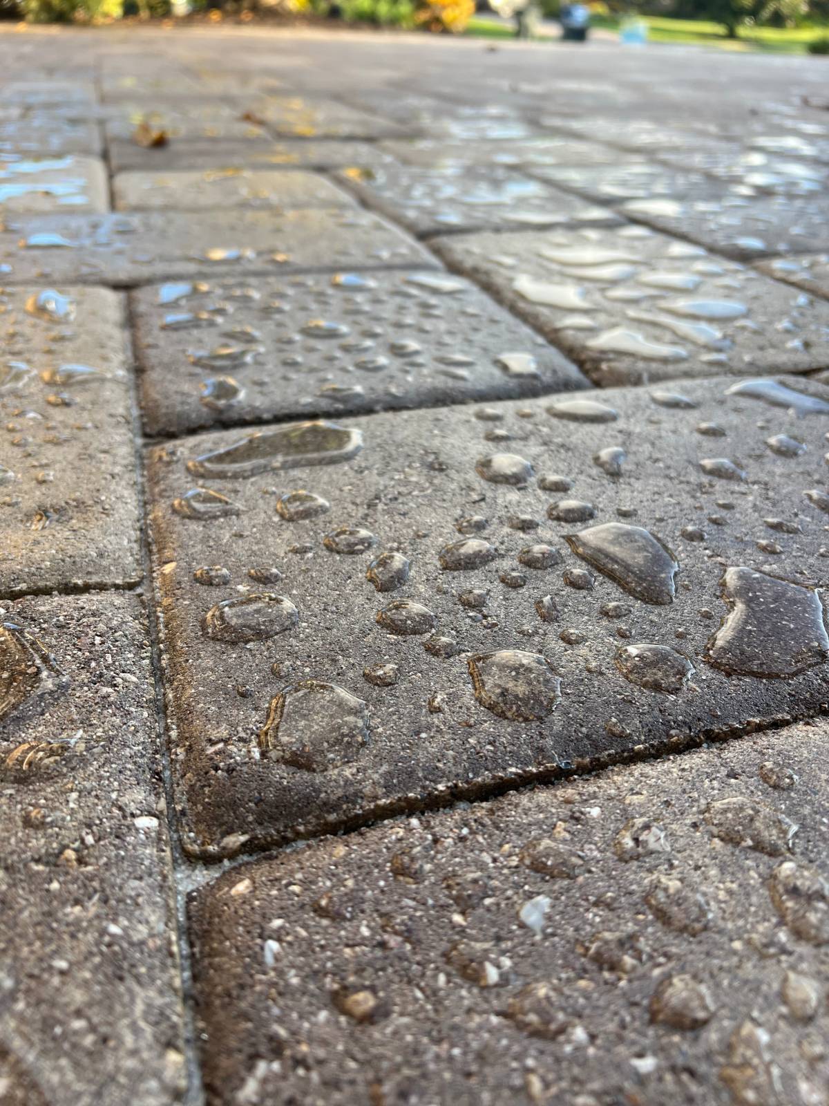 Concrete Sealing Sarasota